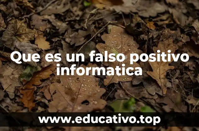 Que es un falso positivo informatica