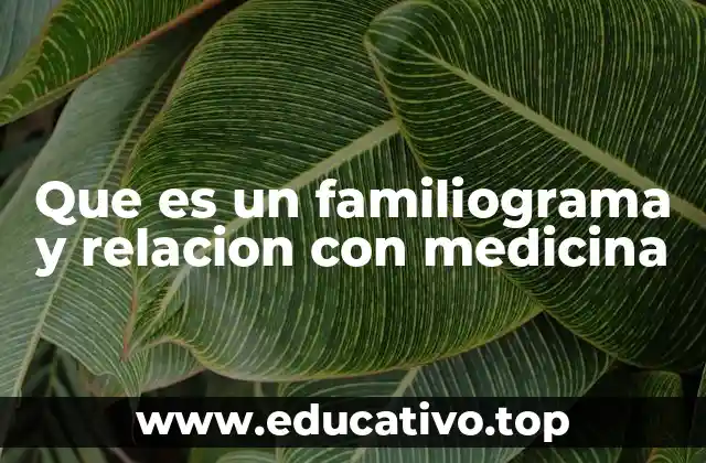 Que es un familiograma y relacion con medicina