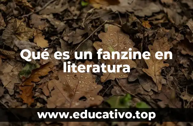Qué es un fanzine en literatura