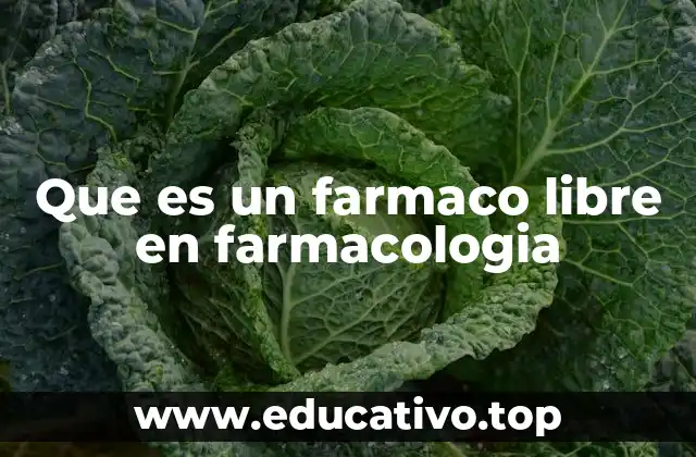 El papel de la unión a proteínas plasmáticas en la acción de los medicamentos