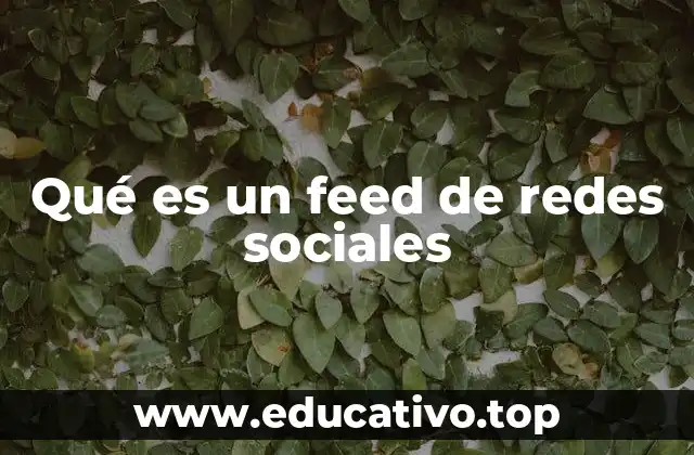 Qué es un feed de redes sociales