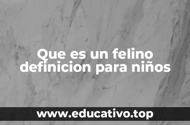 Que es un felino definicion para niños
