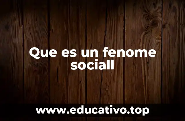 Que es un fenome sociall