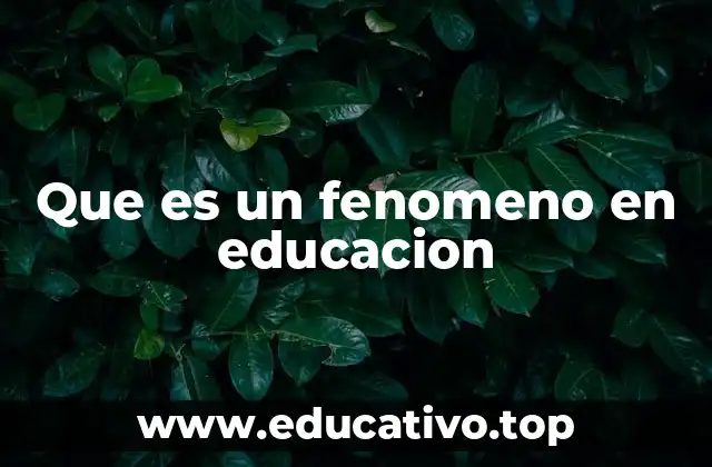 Que es un fenomeno en educacion