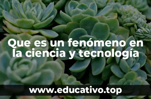 Que es un fenómeno en la ciencia y tecnología