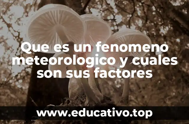 Que es un fenomeno meteorologico y cuales son sus factores