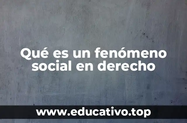 Qué es un fenómeno social en derecho