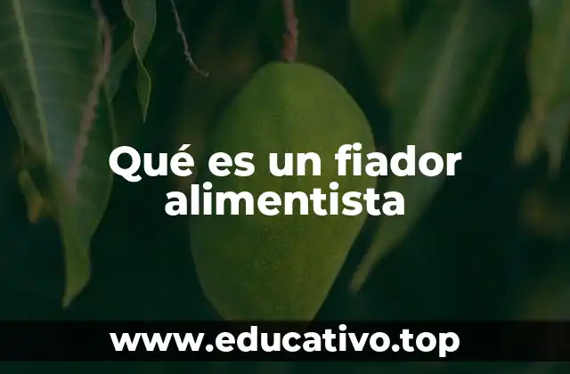 Qué es un fiador alimentista