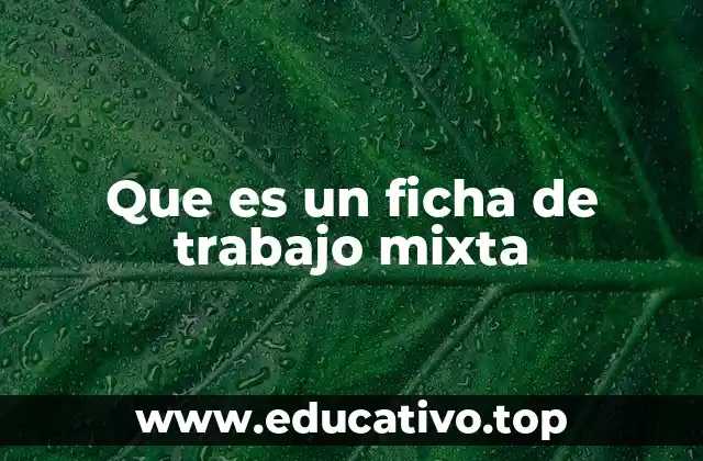 Que es un ficha de trabajo mixta
