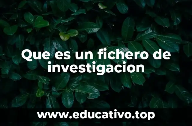 Que es un fichero de investigacion