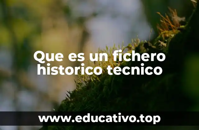 Que es un fichero historico tecnico