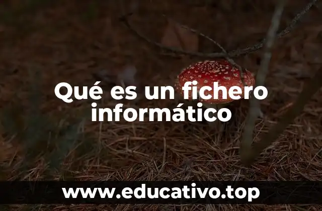 Qué es un fichero informático