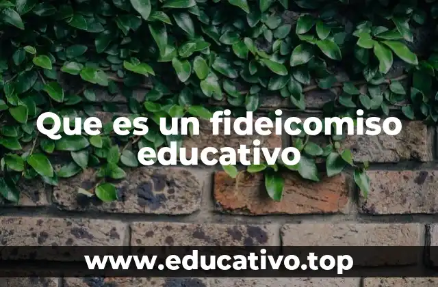 Que es un fideicomiso educativo