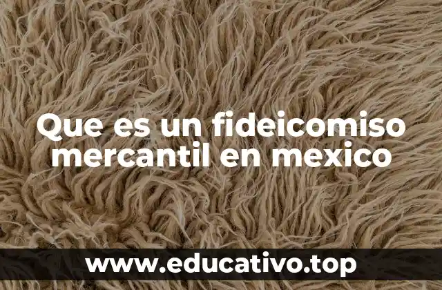 Que es un fideicomiso mercantil en mexico