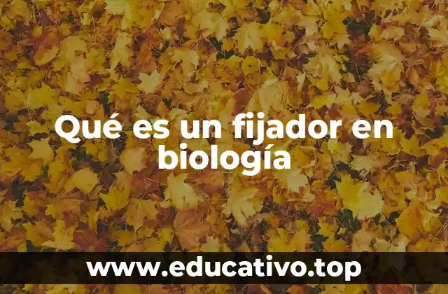 Qué es un fijador en biología