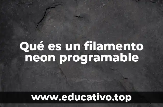 Qué es un filamento neon programable