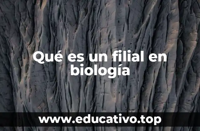 Qué es un filial en biología