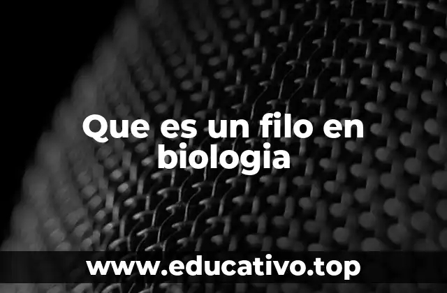 La importancia del filo en la clasificación biológica