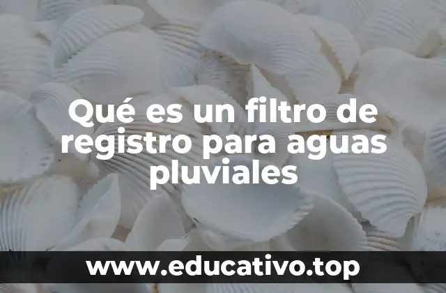 Qué es un filtro de registro para aguas pluviales