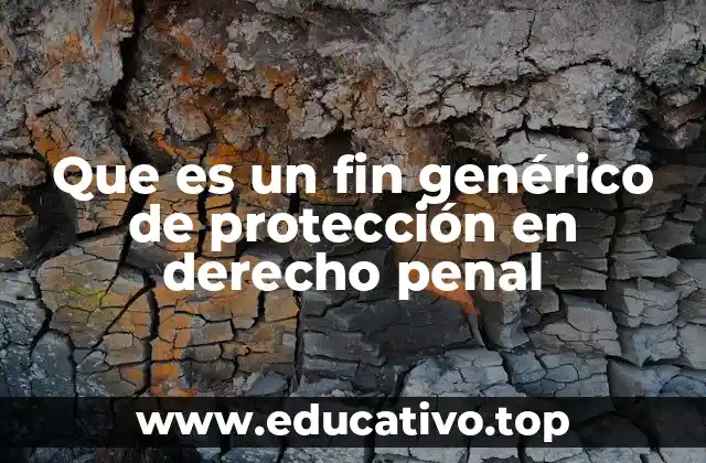 Que es un fin genérico de protección en derecho penal