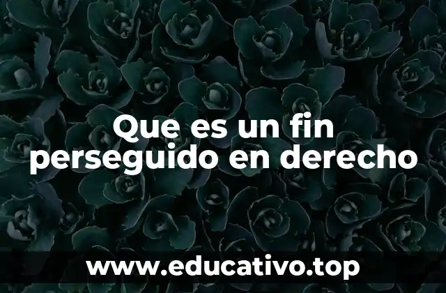 Que es un fin perseguido en derecho