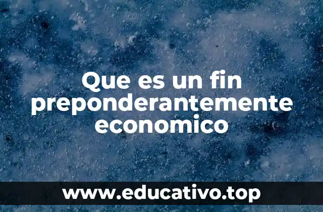 Que es un fin preponderantemente economico