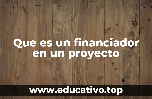 Que es un financiador en un proyecto