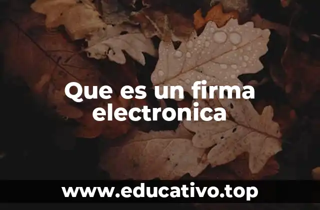 Que es un firma electronica