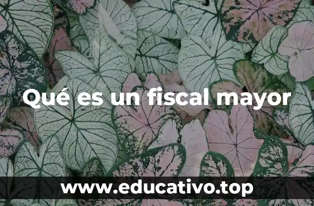 El rol del fiscal mayor en el sistema judicial