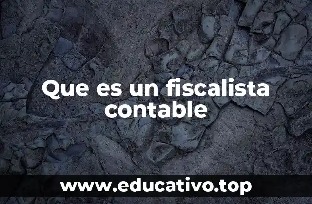 Que es un fiscalista contable