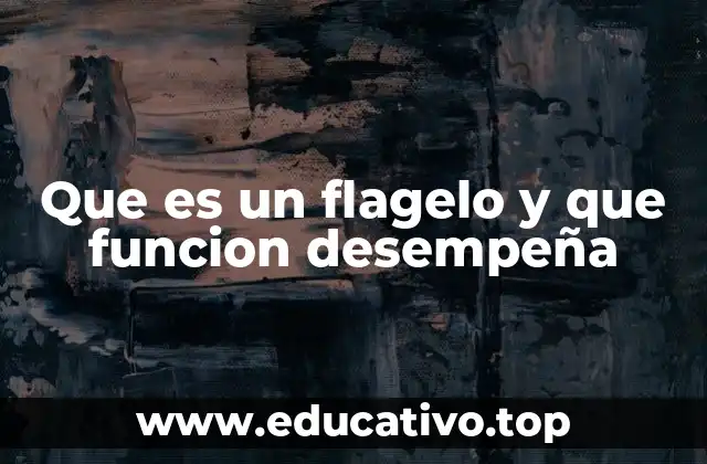 Que es un flagelo y que funcion desempeña