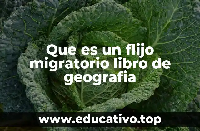 Que es un flijo migratorio libro de geografia