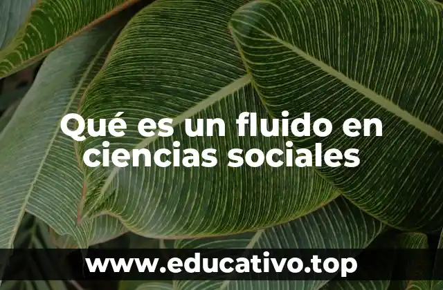 Qué es un fluido en ciencias sociales