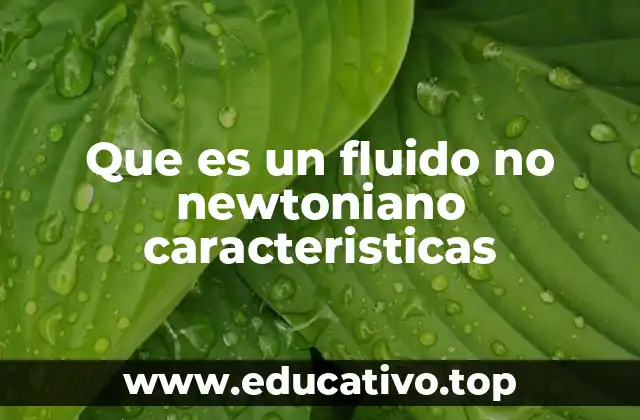 Que es un fluido no newtoniano caracteristicas