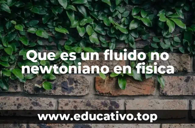Que es un fluido no newtoniano en fisica