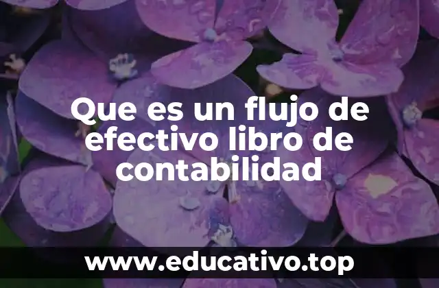 Que es un flujo de efectivo libro de contabilidad
