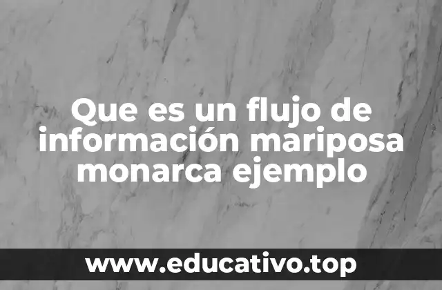 Que es un flujo de información mariposa monarca ejemplo