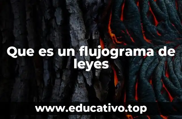 Que es un flujograma de leyes
