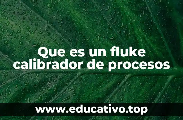 Que es un fluke calibrador de procesos