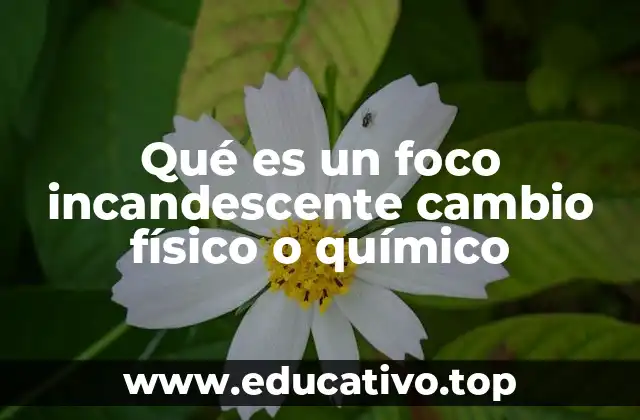 Qué es un foco incandescente cambio físico o químico