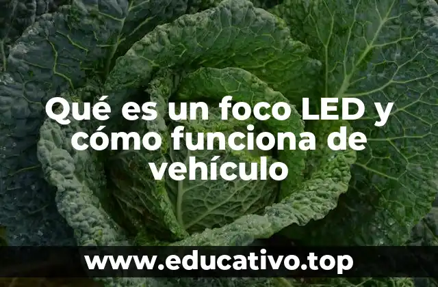Qué es un foco LED y cómo funciona de vehículo