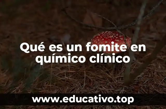 Qué es un fomite en químico clínico
