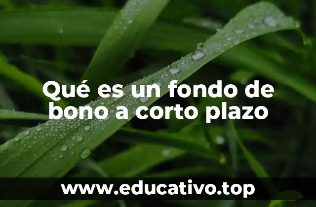Características principales de los fondos de bono a corto plazo