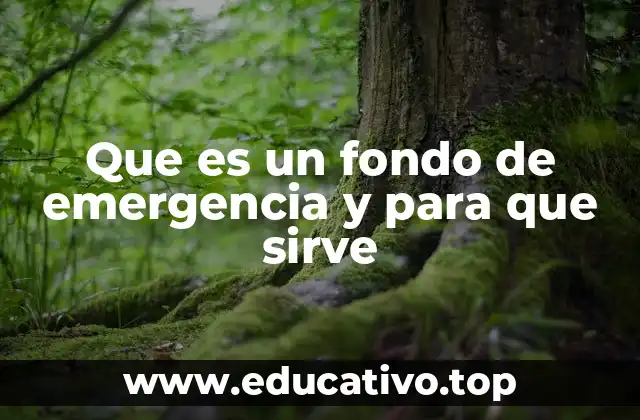 Que es un fondo de emergencia y para que sirve
