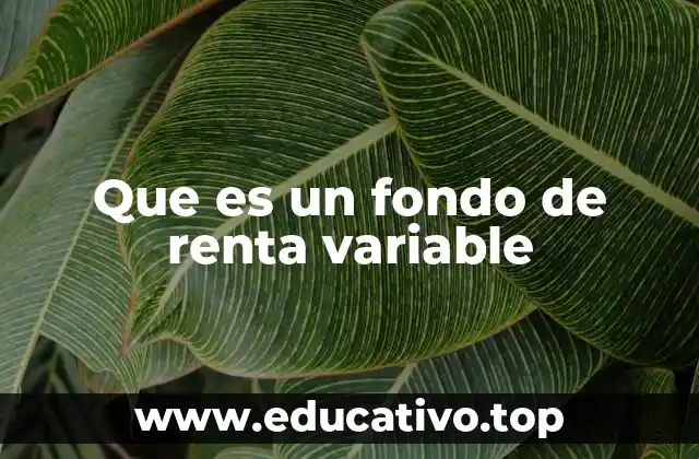 Que es un fondo de renta variable
