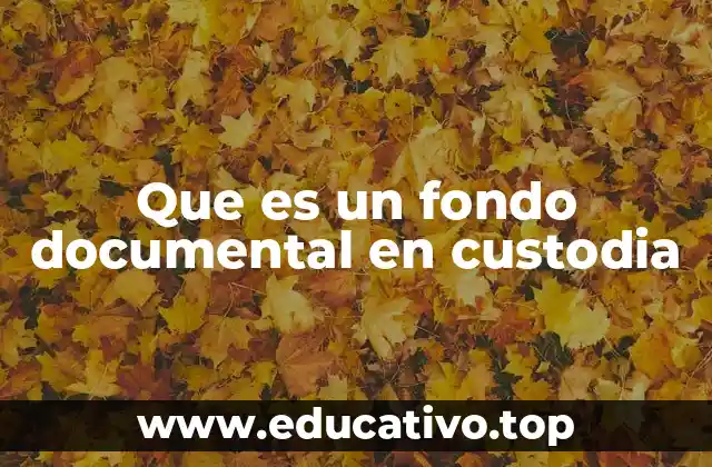 Que es un fondo documental en custodia