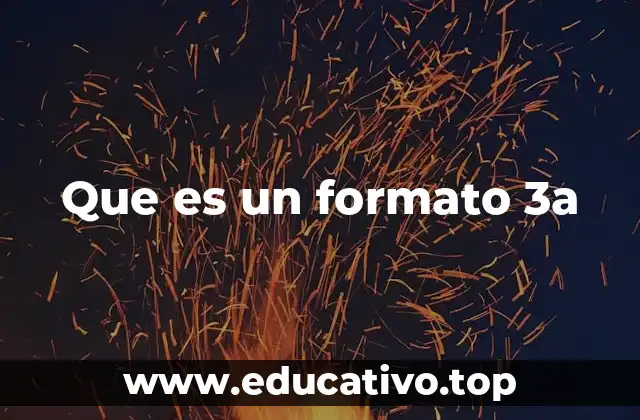 Que es un formato 3a