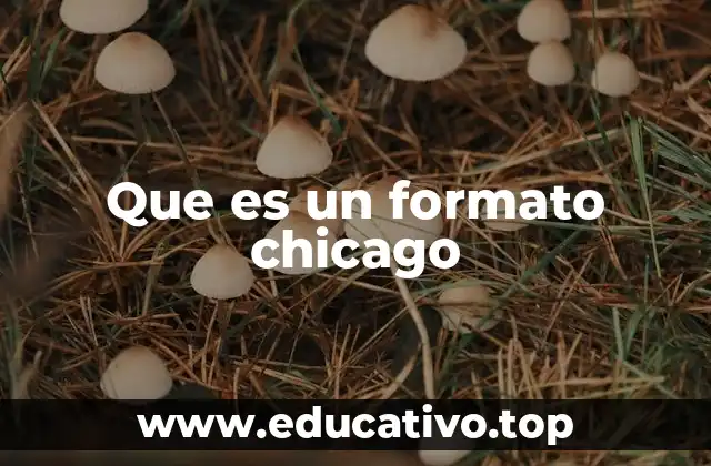 Que es un formato chicago