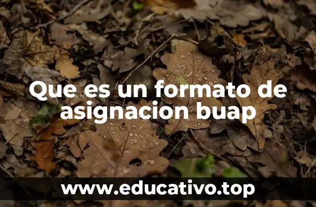 Que es un formato de asignacion buap