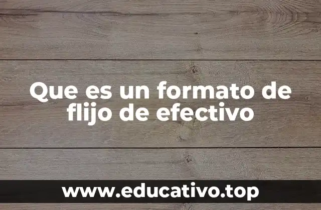 Que es un formato de flijo de efectivo